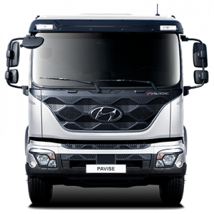 Camión Hyundai Pavise